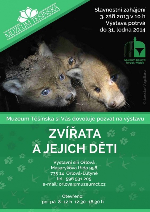 Zvířata a jejich děti