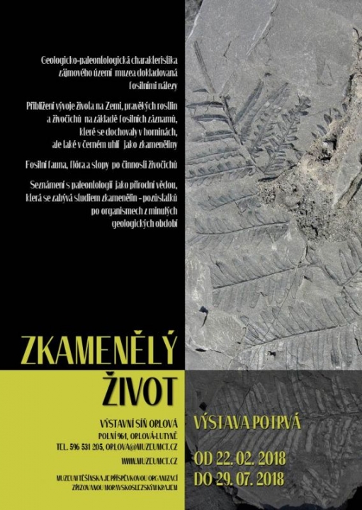 Zkamenělý život