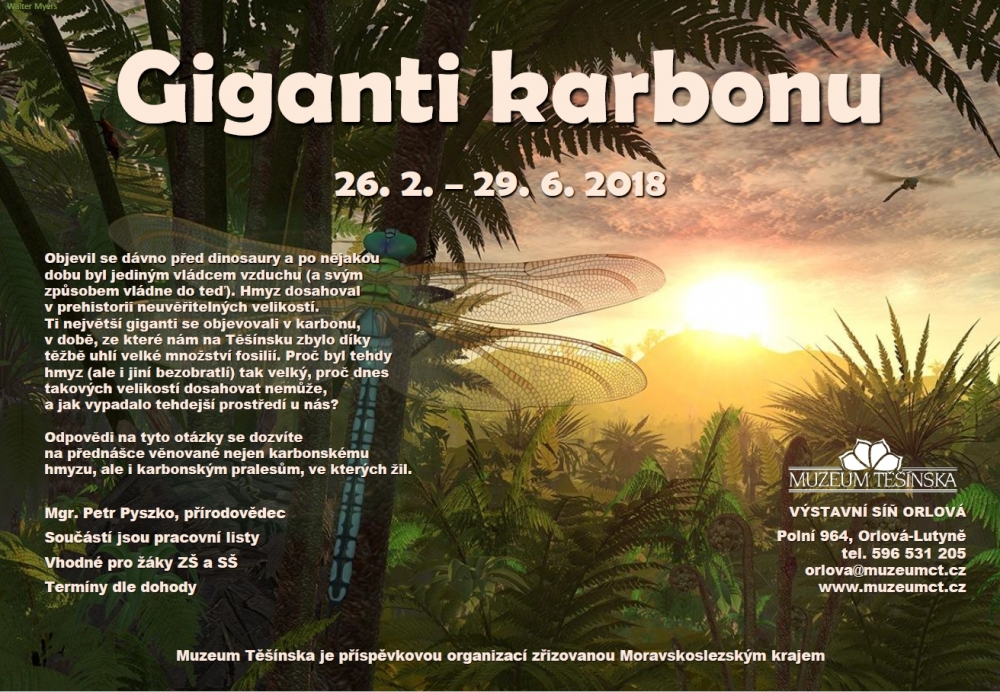 Giganti karbonu