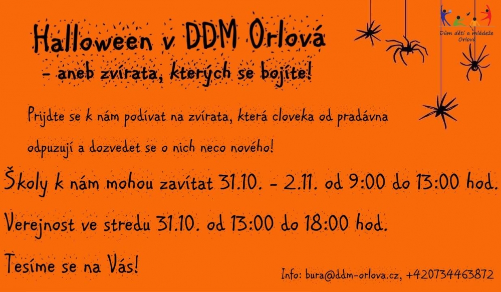 Halloween v DDM Orlová – aneb zvířata, kterých se bojíte!