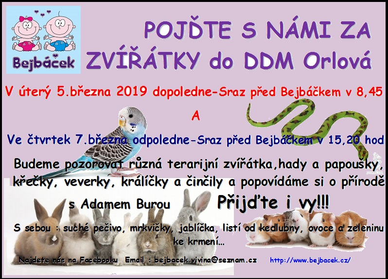 Pojďte s námi za zvířátky do DDM Orlová