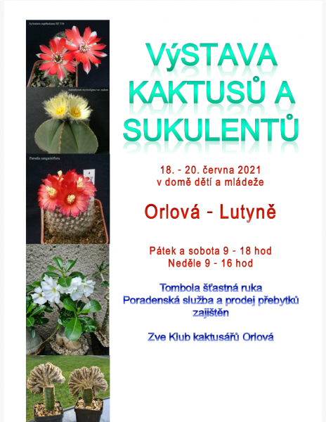 Výstava kaktušů a sukulentů