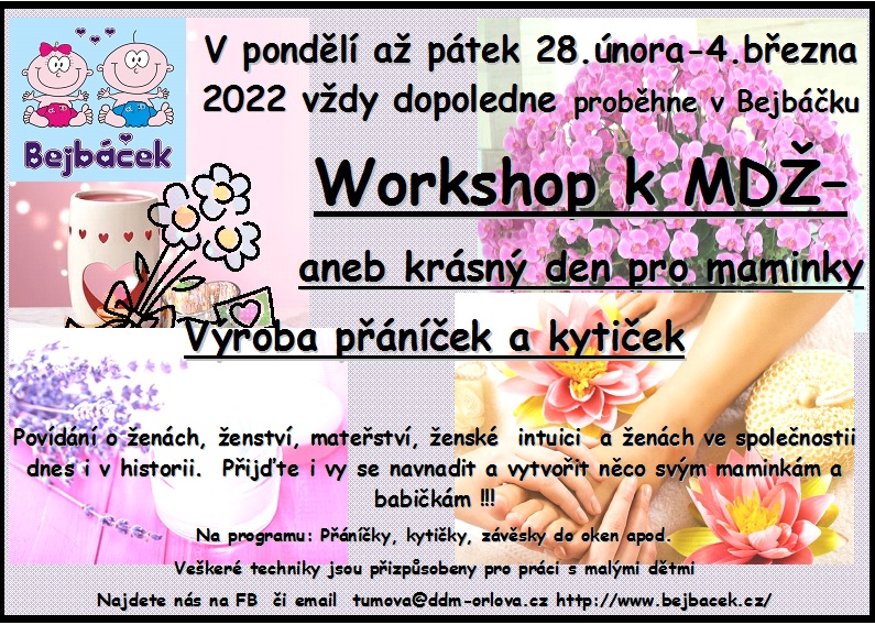 WORKSHOP K MDŽ