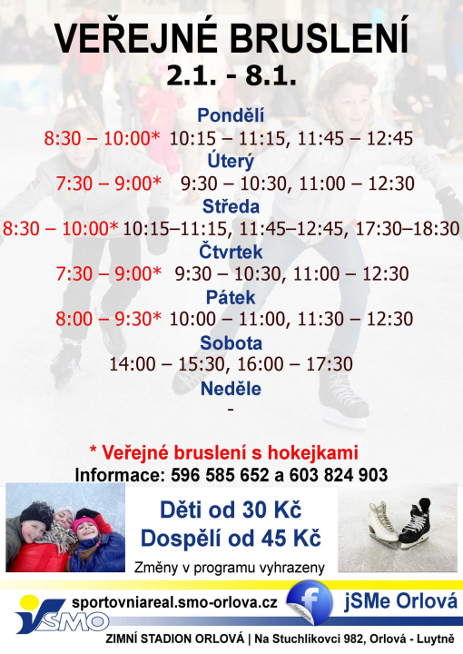 Veřejné bruslení