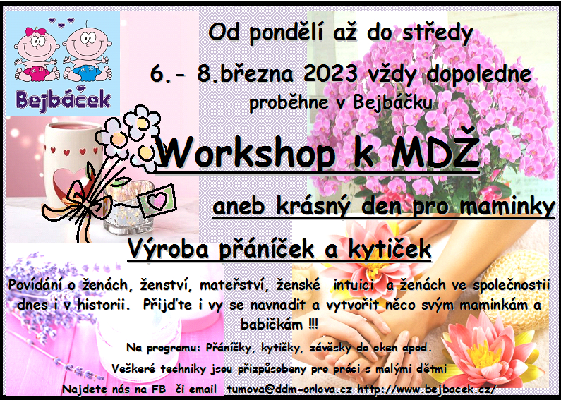 Workshop k MDŽ