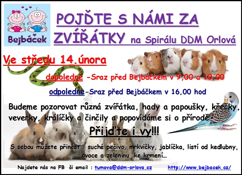 POJĎTE S NÁMI ZA ZVÍŘÁTKY