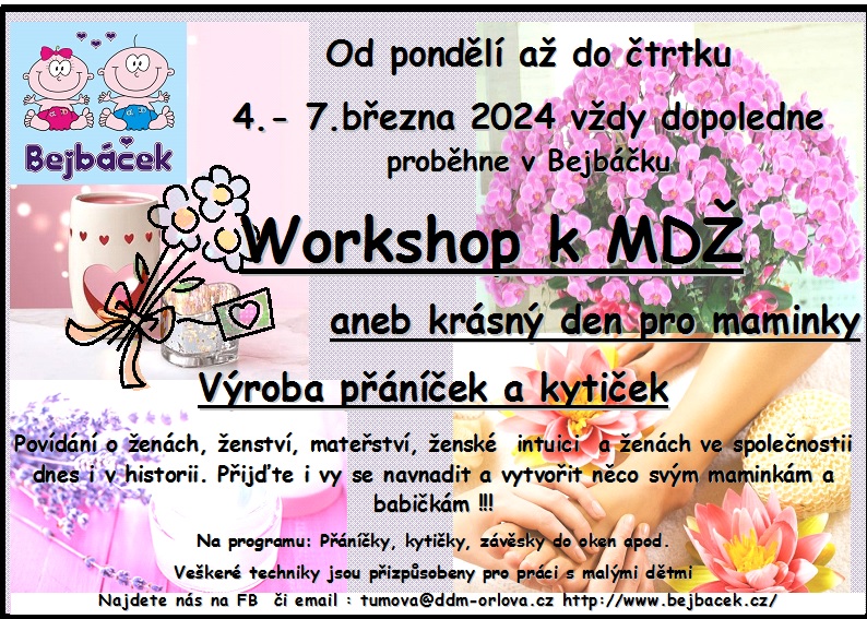Workshop k MDŽ