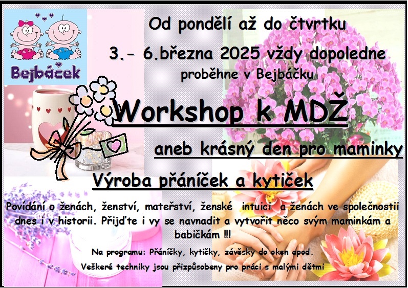 WORKSHOP K MDŽ