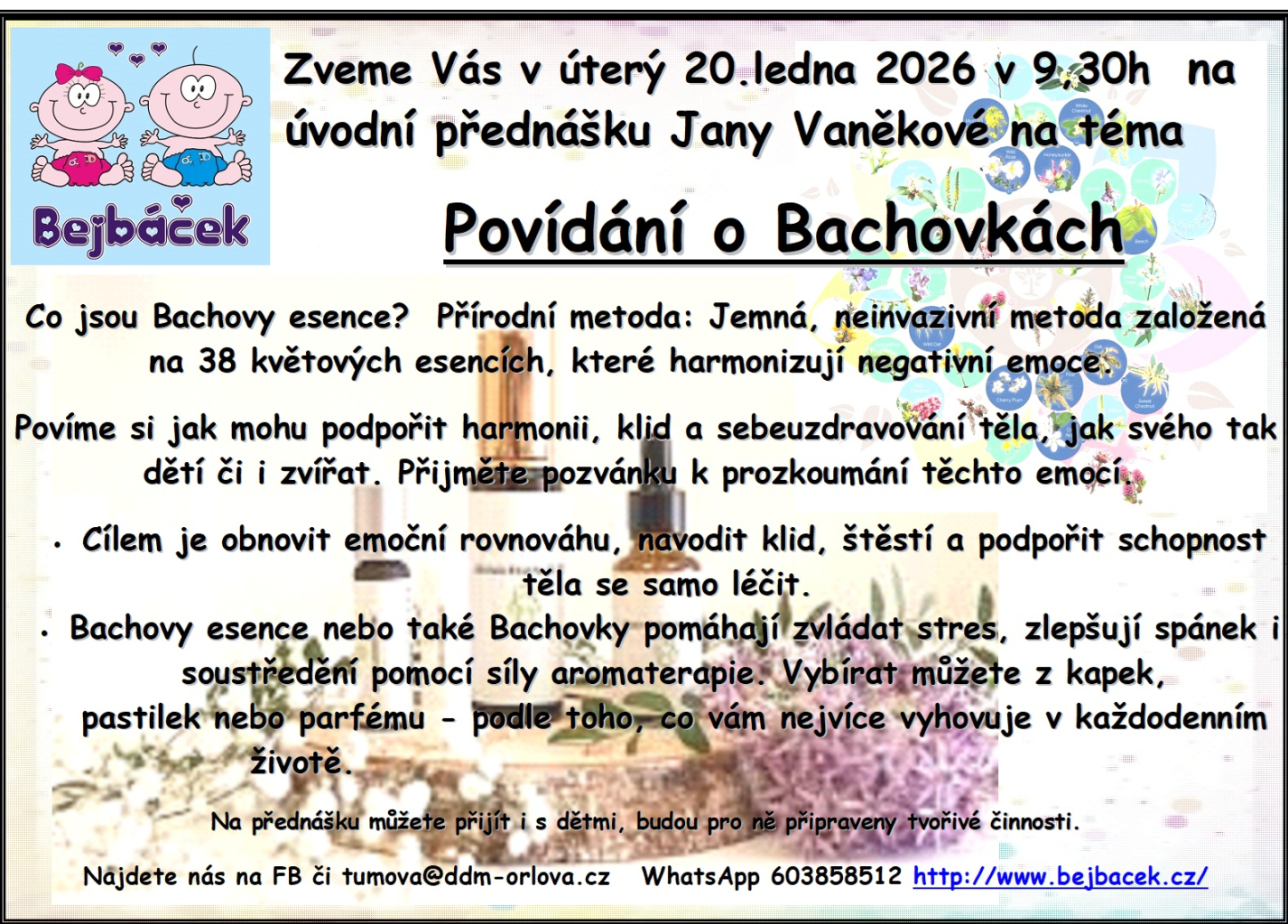 Povídání o Bachovkách