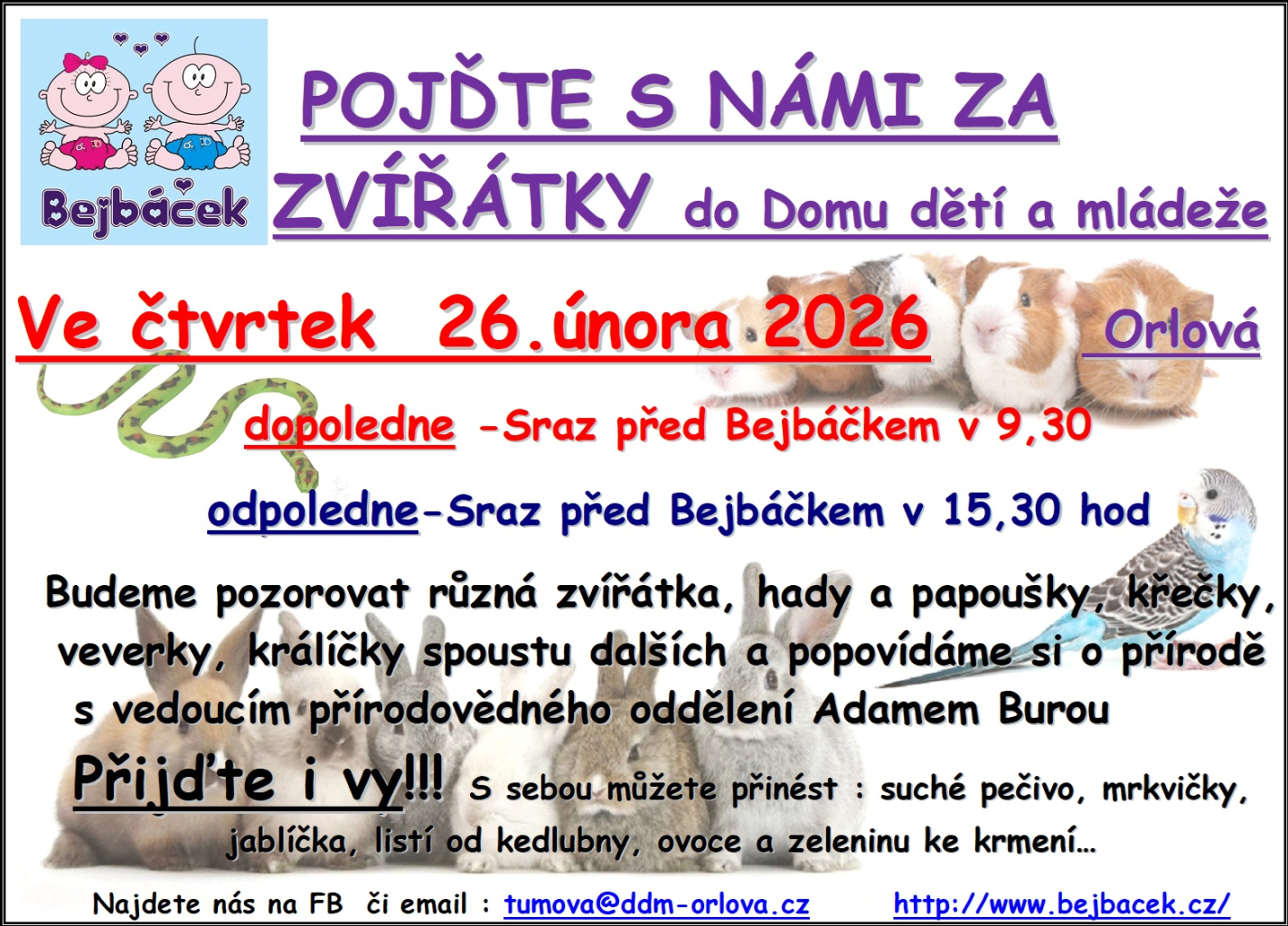 POJĎTE S NÁMI ZA ZVÍŘÁTKY