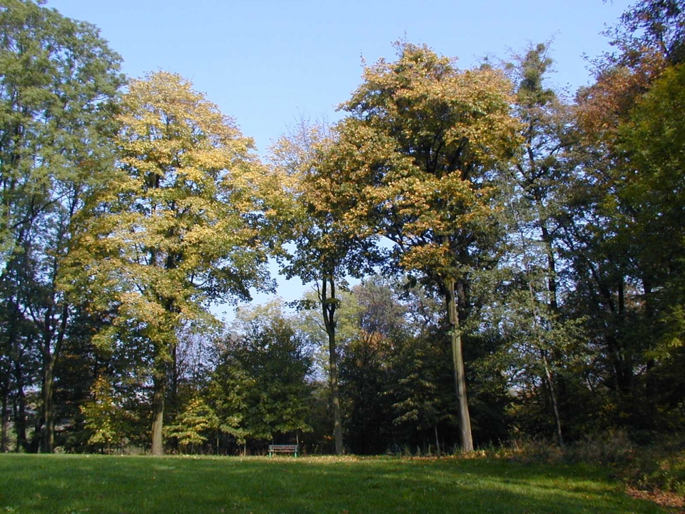 Zámecký park