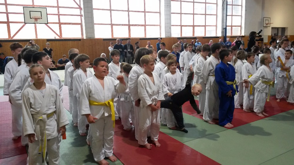 Judisté nastartovali