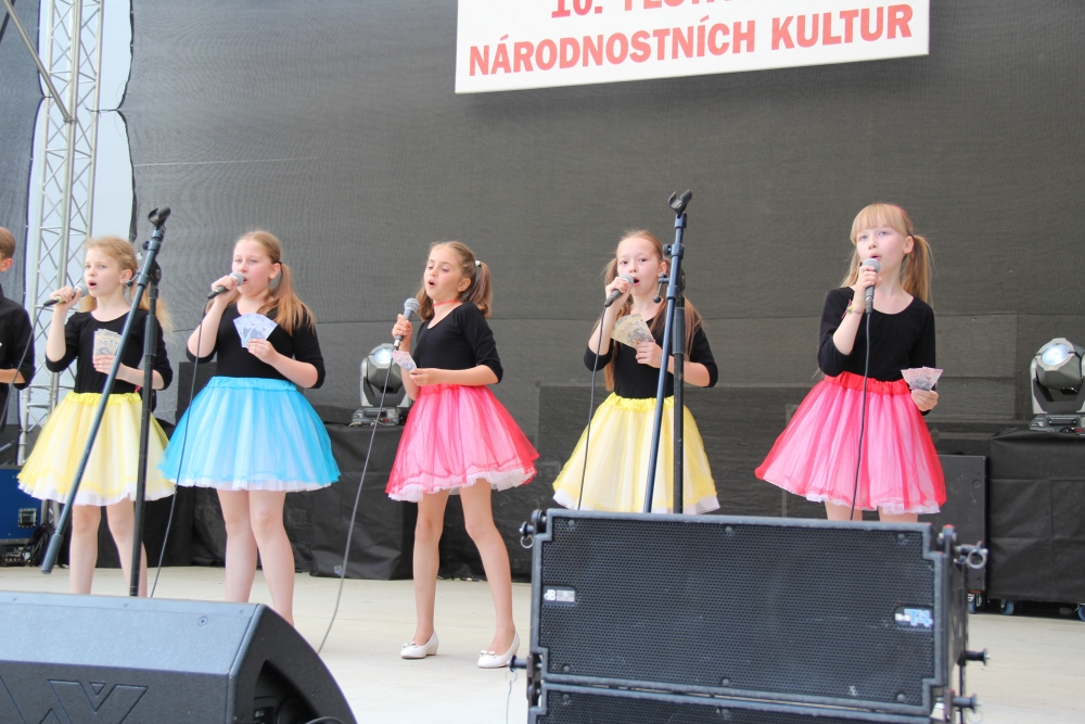 Ohlédnutí za Festivalem národnostních kultur