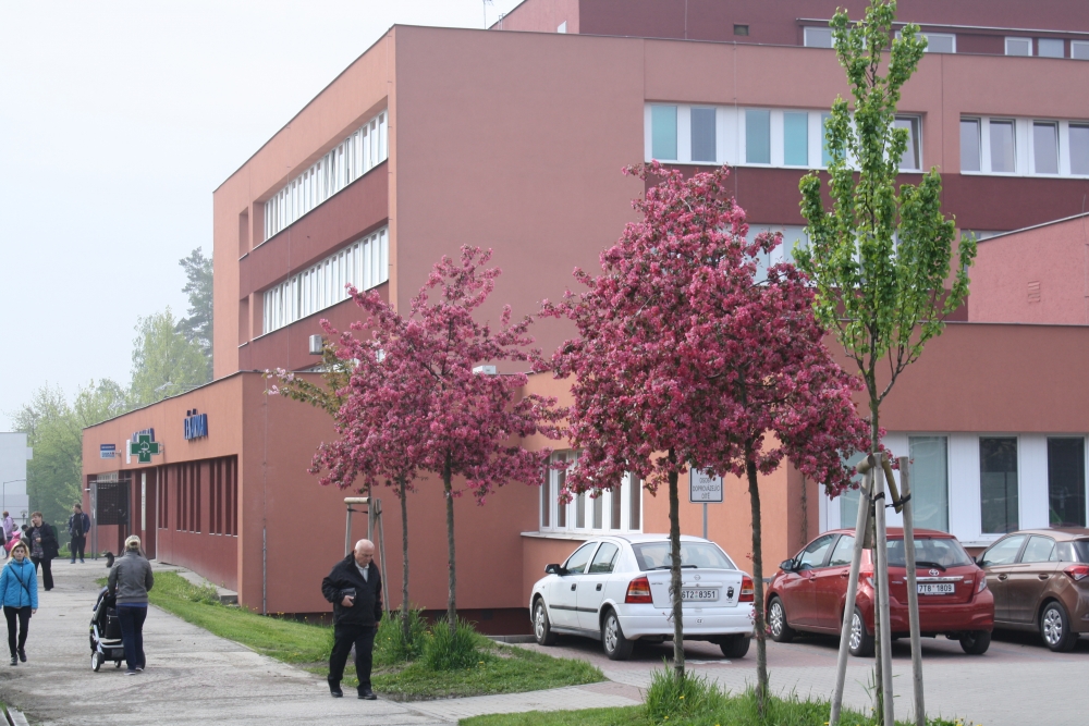 UZAVŘENÍ LÉKAŘSKÉ POHOTOVOSTNÍ SLUŽBY (LPS) PRO DOSPĚLÉ