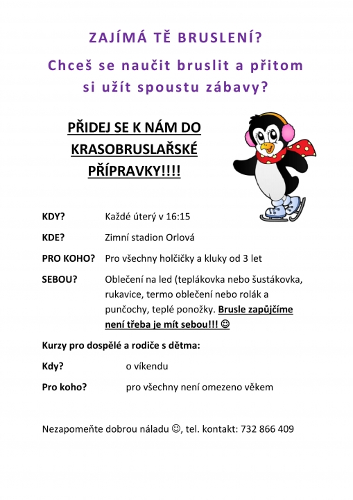 Krasobruslařská přípravka láká do svých řad