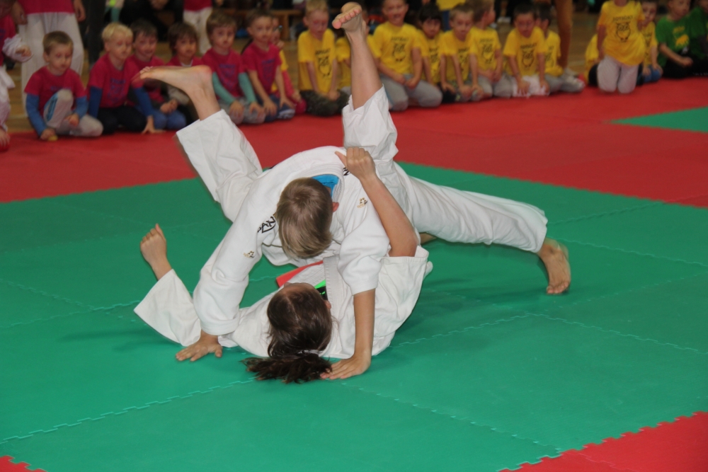 MEZINÁRODNÍ JUDO SOUSTŘEDĚNÍ 2018