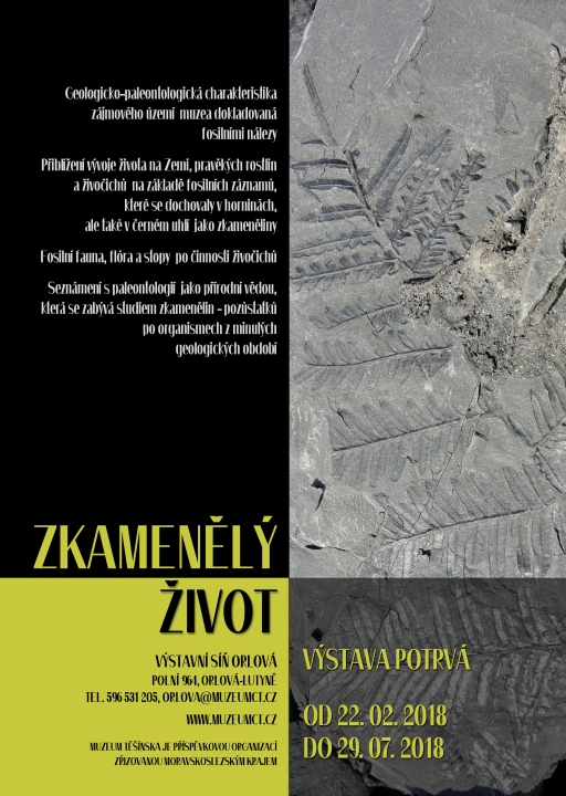VÝSTAVNÍ SÍŇ V ORLOVÉ NA NOVÉ ADRESE ZPŘÍSTUPNÍ VÝSTAVU O PALEONTOLOGII