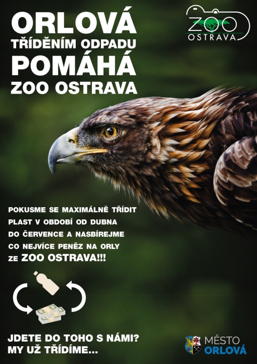 Orlová podpoří orla