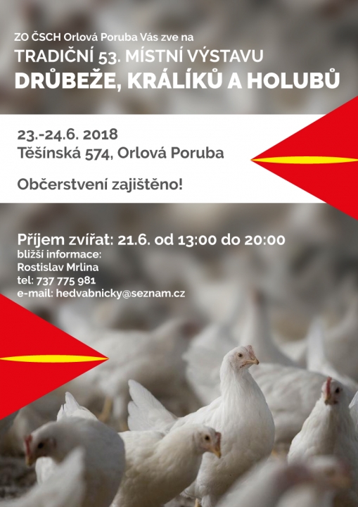 I letos výstava drůbeže, králíků a holubů!