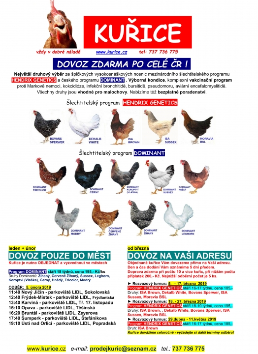 Kvalitní kuřice s dovozem „až do kurníku“