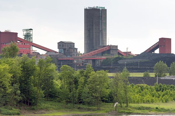 TĚŽBA NA DOLE LAZY BUDE UKONČENA K 31. ŘÍJNU 2019
