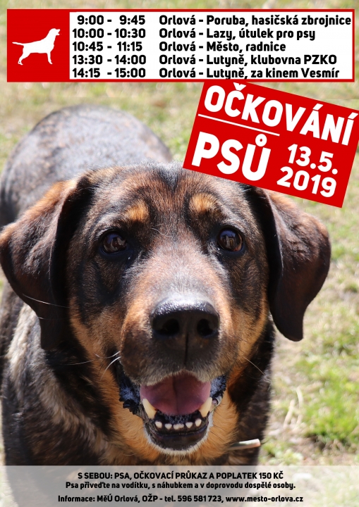 Majitelé psů pozor! Blíží se povinné očkování proti vzteklině