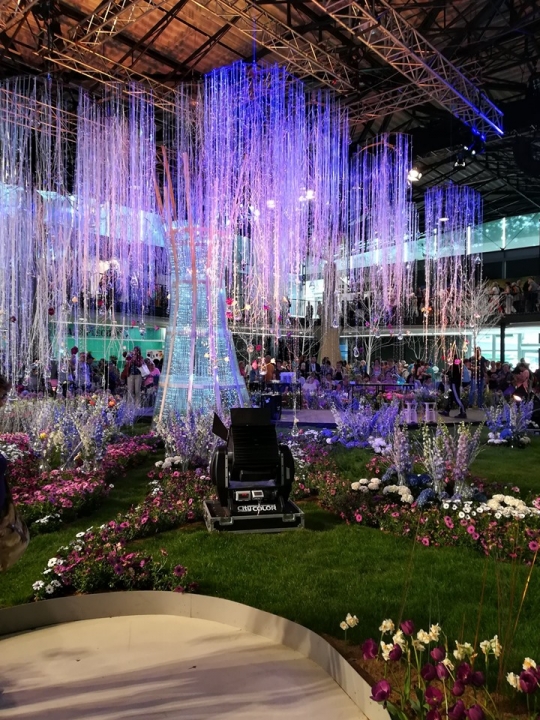 ZŠ U Kapličky - Exkurze na Floru Olomouc 2019