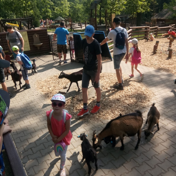 ZŠ K. Dvořáčka - VÝLET DO ZOO
