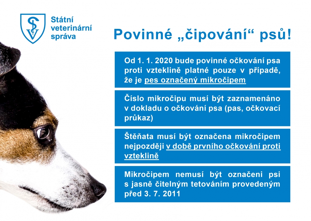 Připomínáme chovatelům povinnost nechat čipovat své psy do konce roku