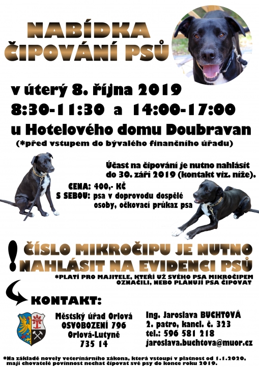 Město nabízí čipování psů