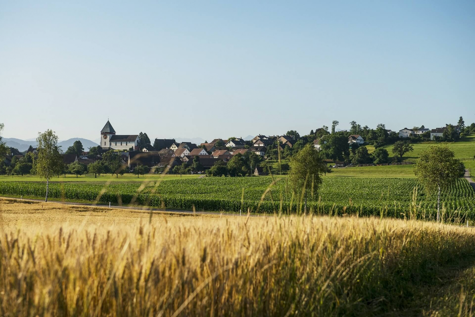Illnau-Effretikon