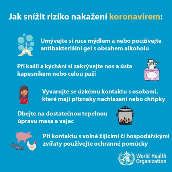 PŘEHLED NEJDŮLEŽITĚJŠÍCH ZÁSAD, NA KTERÉ BY LIDÉ PŘI OBRANĚ PŘED NÁKAZOU KORONAVIREM MĚLI PAMATOVAT