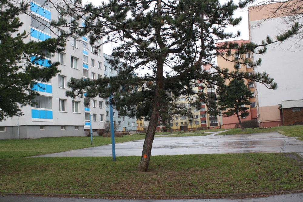 Na V. etapě přibude 19 nových parkovacích míst