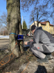 Akustickou tomografii provedl zkušený arborista.