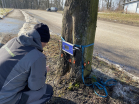 Ultrazvukové vyšetření stromů provedla firma Safe Trees.
