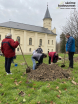 Staré ovocné stromy nahradily nové druhy listnatých stromů.