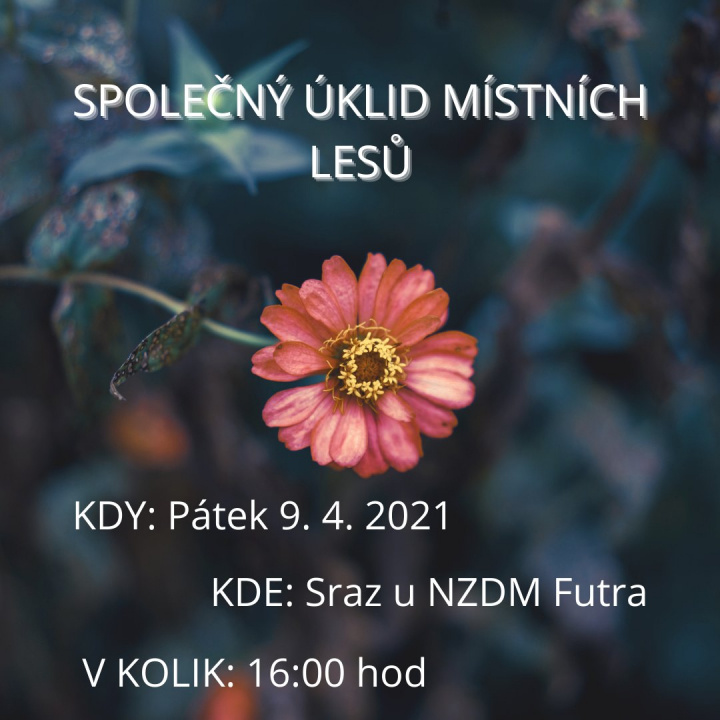 KOLEKTIV NÍZKOPRAHU CHCE UKLIDIT LESY. PŘIDÁTE SE?