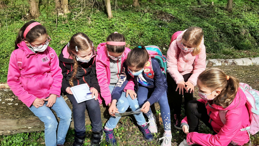 ZŠ Ke Studánce 1050 - Lesohraní s 3.A