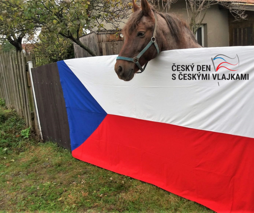 NAŠE ZEM MÁ SVÁTEK. VYVĚSME VLAJKY!