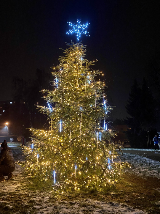 VYBERTE NEJKRÁSNĚJŠÍ VÁNOČNÍ STROM MSK: HLASUJTE PRO TEN NÁŠ!