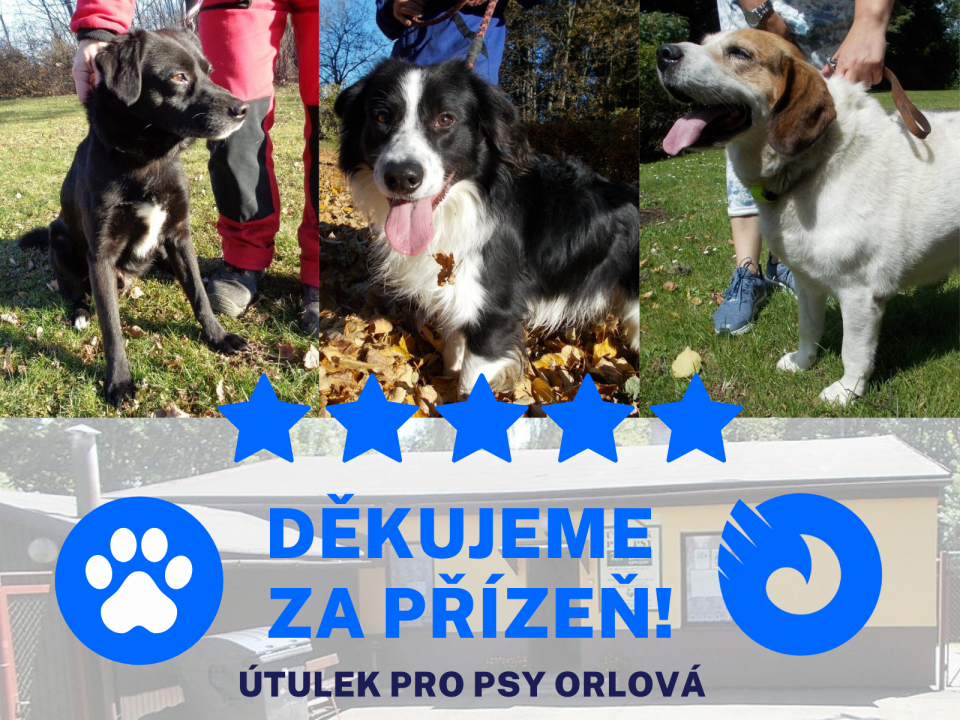 ORLOVSKÝ PSÍ ÚTULEK ZÍSKAL I LETOS NEJLEPŠÍ MOŽNÉ HODNOCENÍ