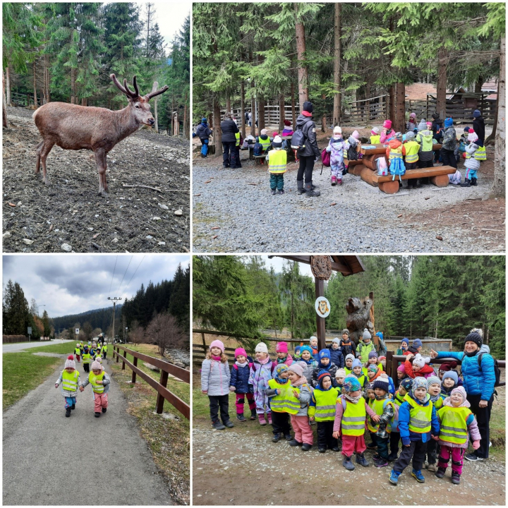 MŠ Na Vyhlídce 1143 - Jarní výlet do přírody