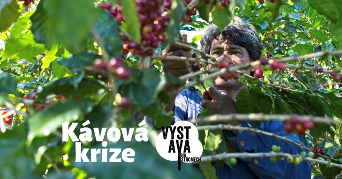 ZAČÍNÁ VÝSTAVA NA STROMECH