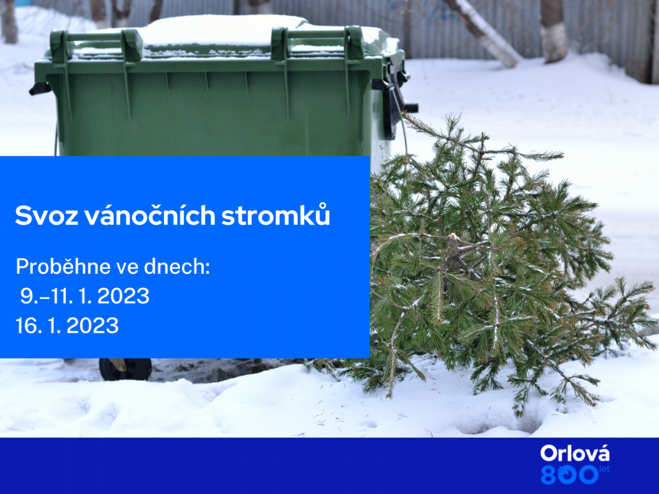VÁNOČNÍ STROMEČKY POMALU OPUSTÍ DOMÁCNOSTI
