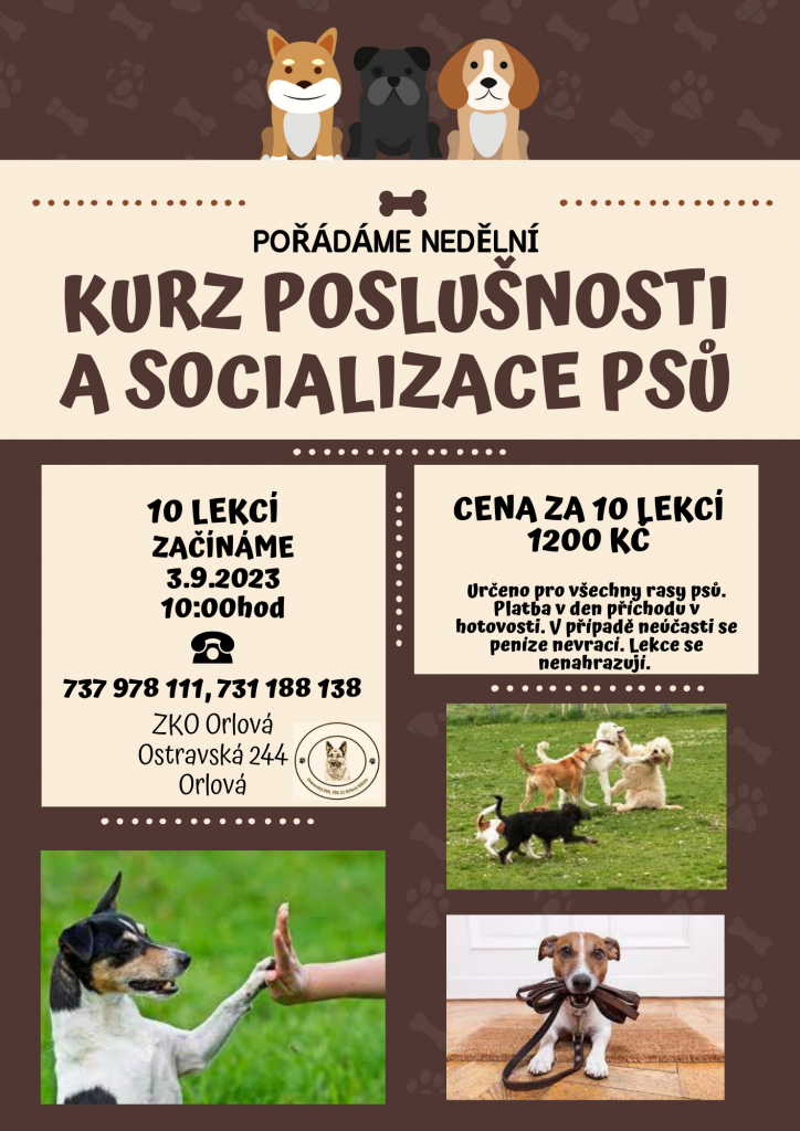 NAUČTE SVÉ PEJSKY POSLUŠNOSTI NA KURZU