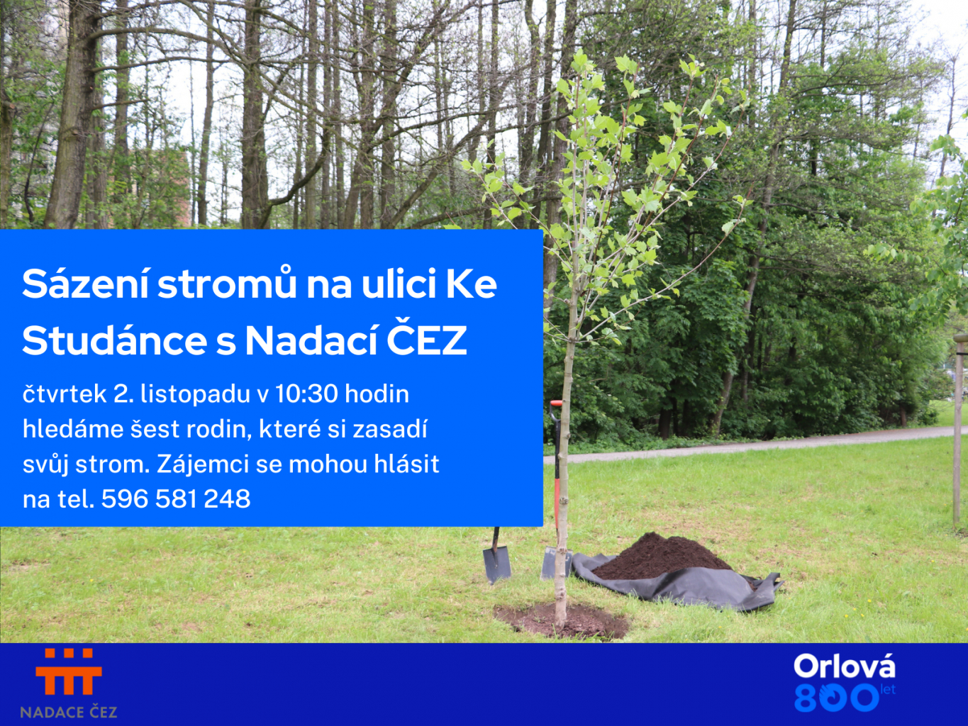 PŘIJĎTE SI ZASADIT SVŮJ STROM