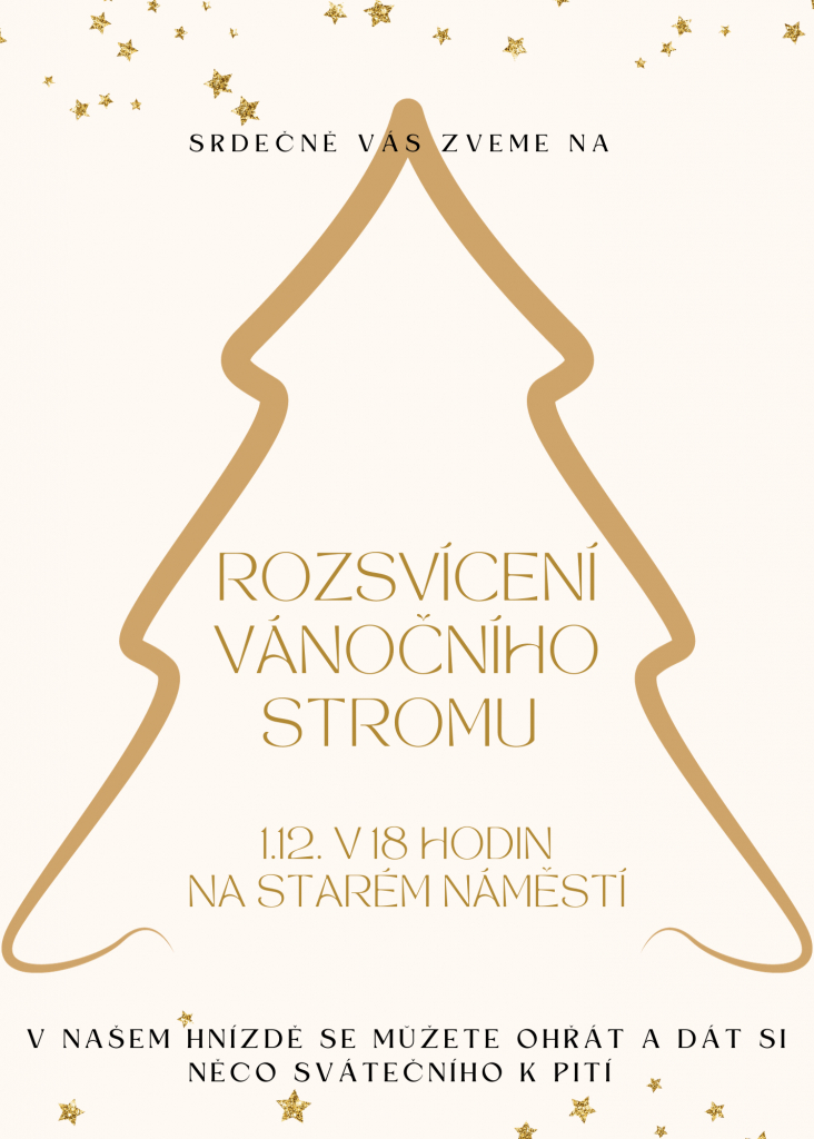 PŘIJĎTE NASÁT VÁNOČNÍ ATMOSFÉRU DO NAŠEHO HNÍZDA