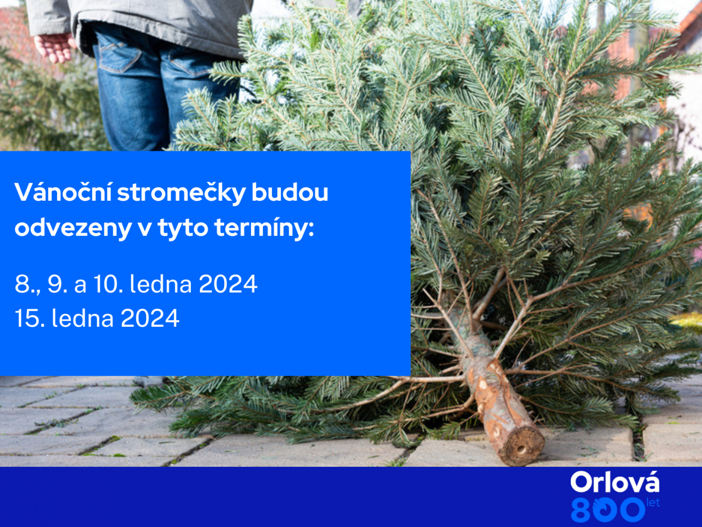 ZAPIŠTE SI TERMÍNY SVOZŮ VÁNOČNÍCH STROMŮ