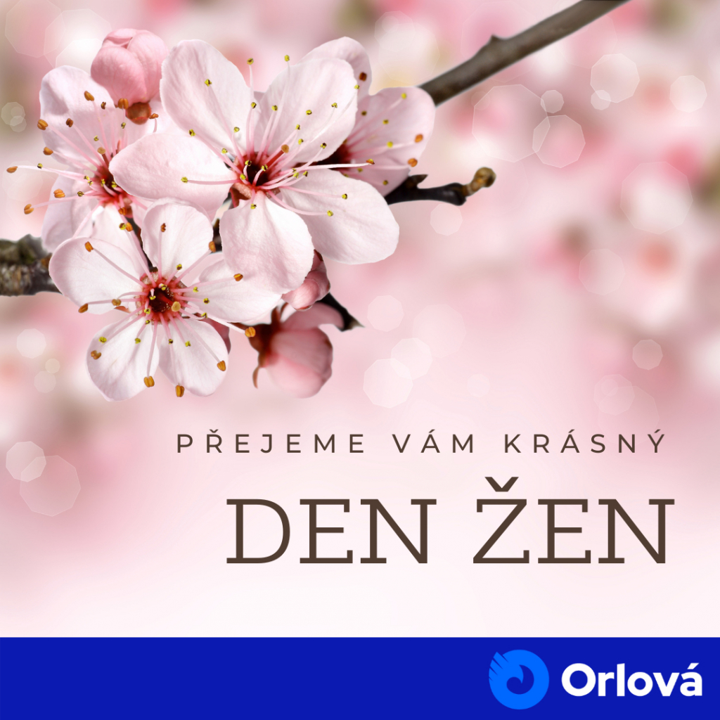 MILÉ ŽENY, PŘEJEME VÁM KRÁSNÝ SVÁTEK.
