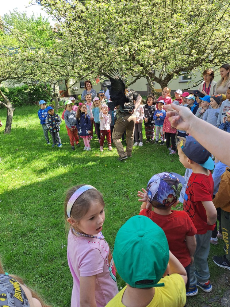 Návštěva dravců v Mateřské škole Ke Studánce